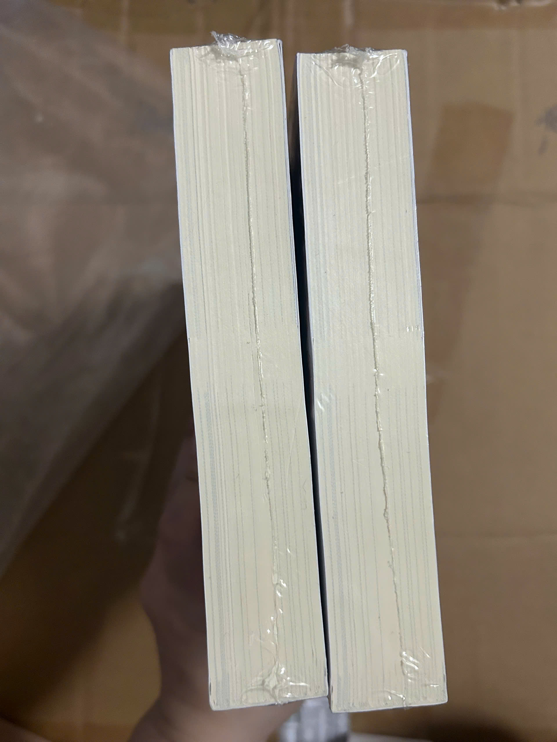 Sách - Hoàng Hôn Dựa Khóm Trúc Dài - Bản đặc biệt (Có mộc AZ)