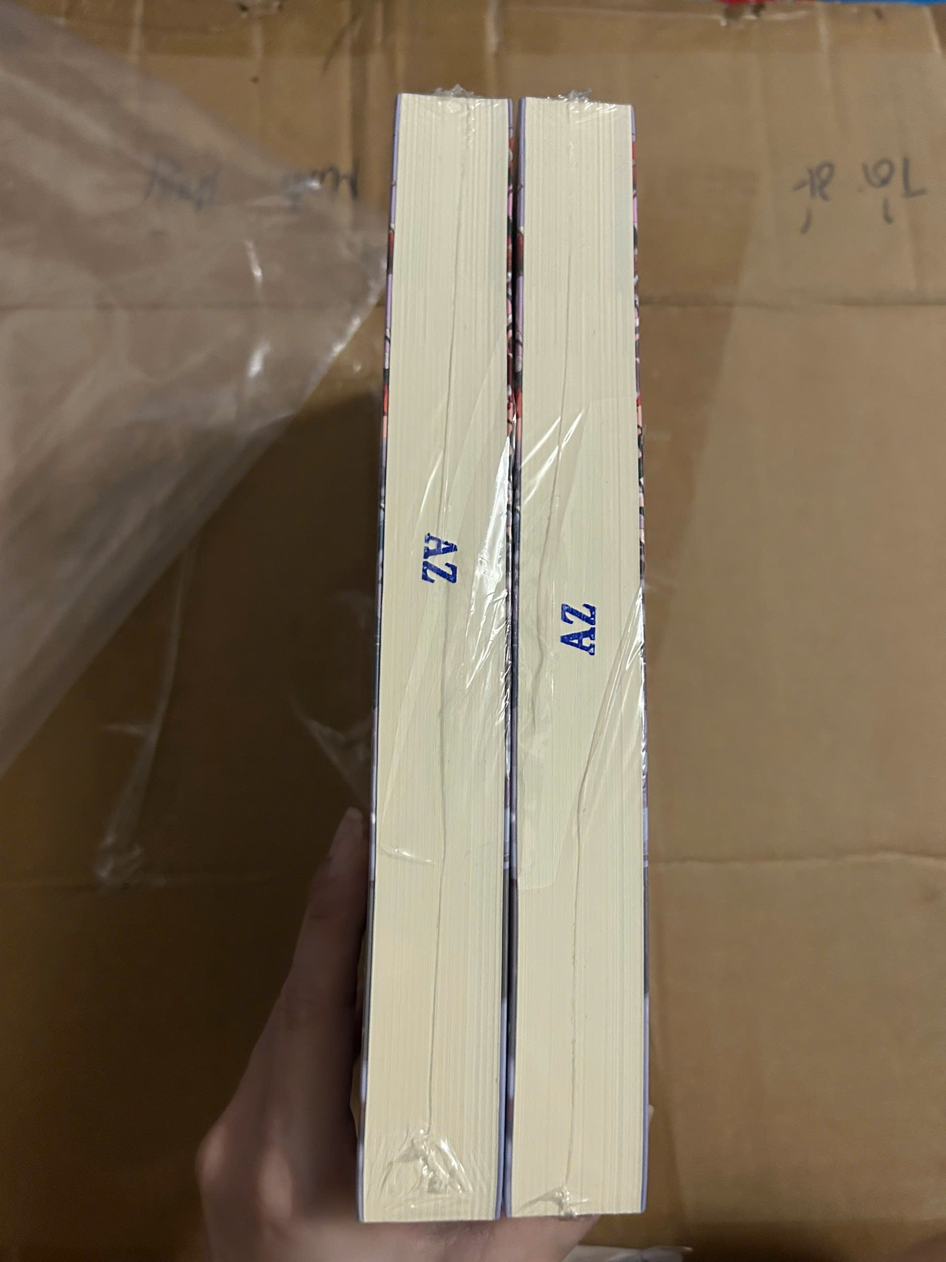 Sách - Hoàng Hôn Dựa Khóm Trúc Dài - Bản đặc biệt (Có mộc AZ)