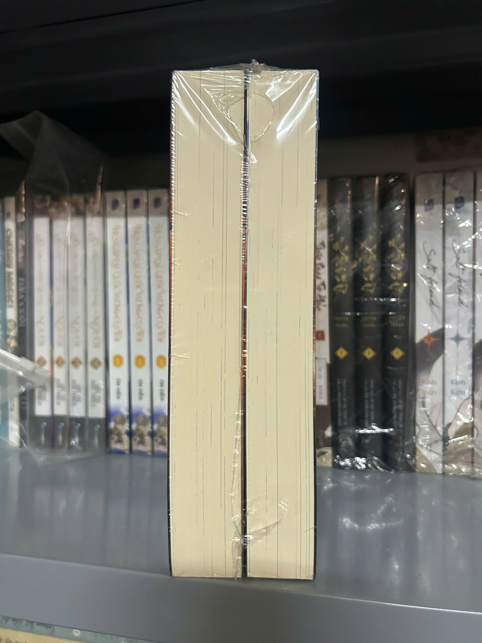 Sách - Độc Giả Và Nhân Vật Chính Đích Thị Là Chân Tình (Bộ 2 tập)