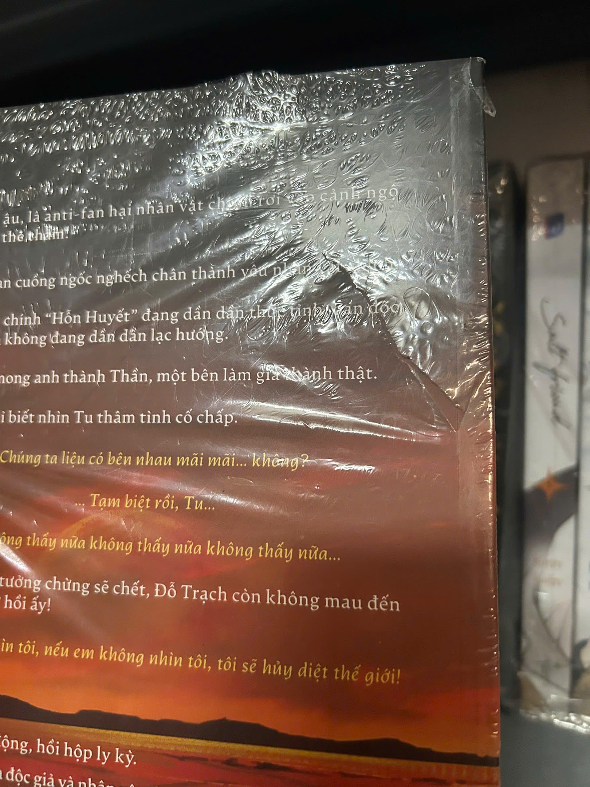 Sách - Độc Giả Và Nhân Vật Chính Đích Thị Là Chân Tình (Bộ 2 tập)