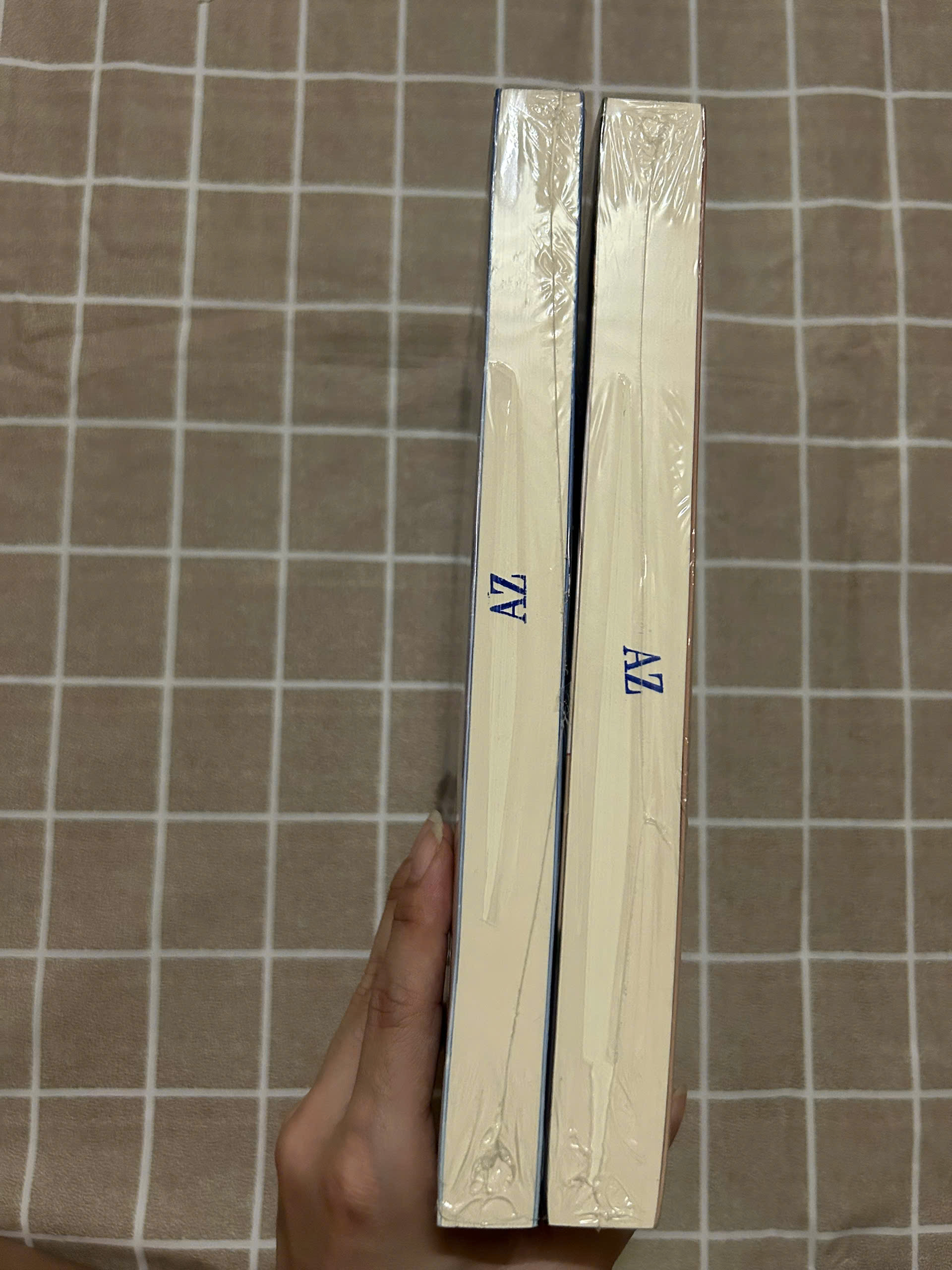 Sách - Vệ Sĩ Tạm Thời - Bộ 2 cuốn có mộc AZ (Bản đặc biệt)