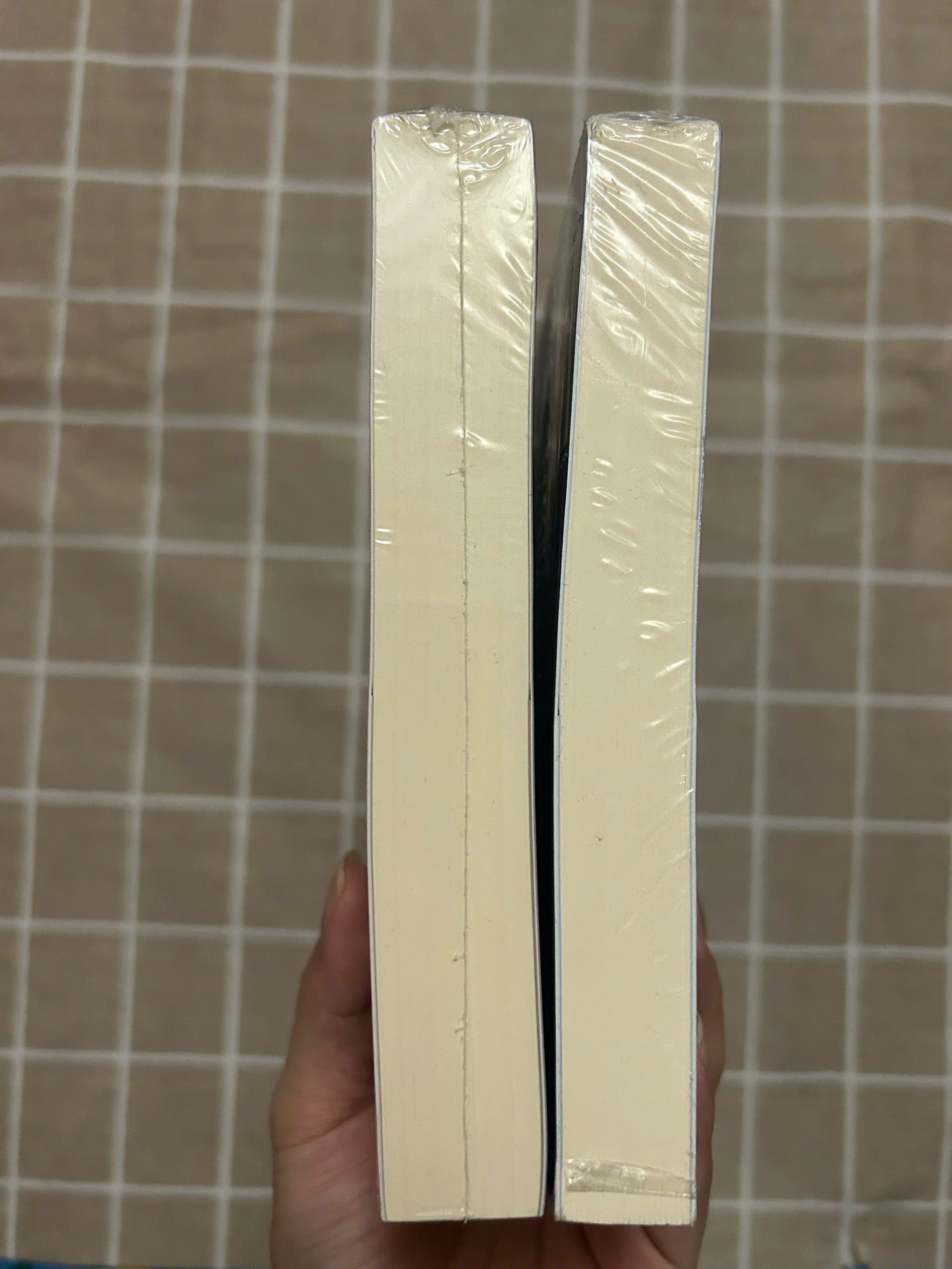 Sách - Vệ Sĩ Tạm Thời - Bộ 2 cuốn có mộc AZ (Bản đặc biệt)