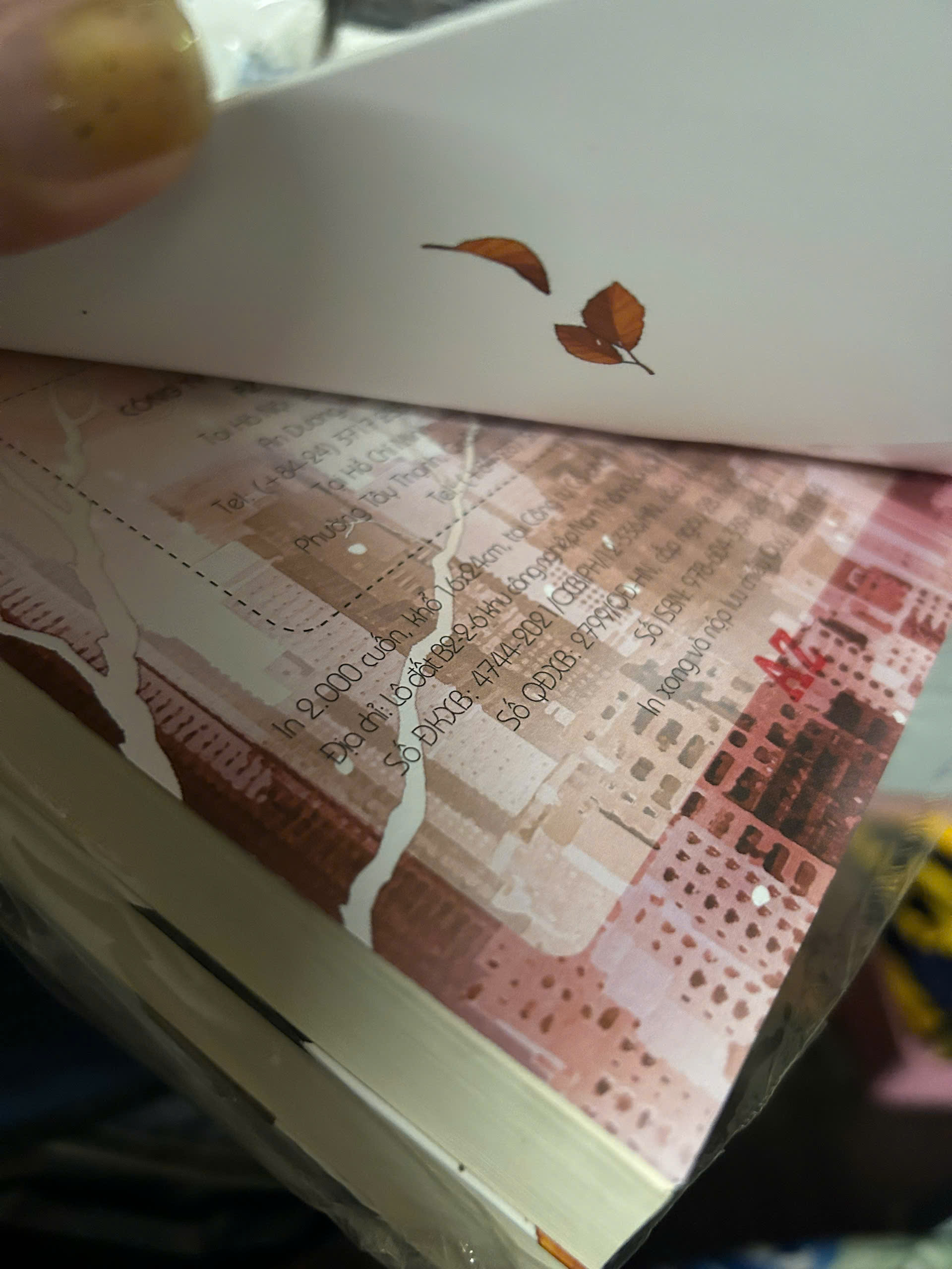 Sách - Lâu Rồi Không Gặp (Bản thường)