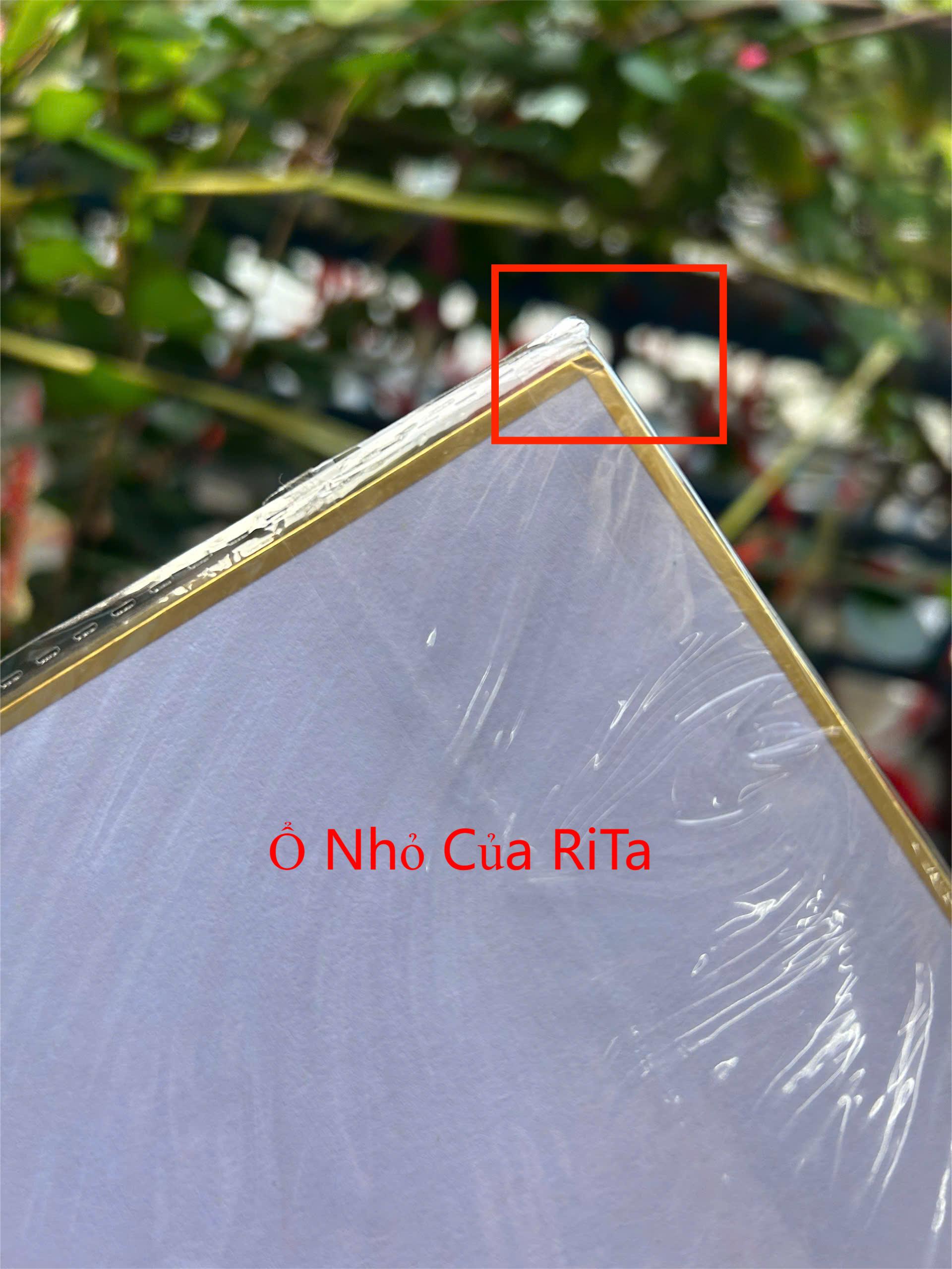 [Đọc kỹ mô tả] Chữ ký tay GODSSTATION - SANCTIFY