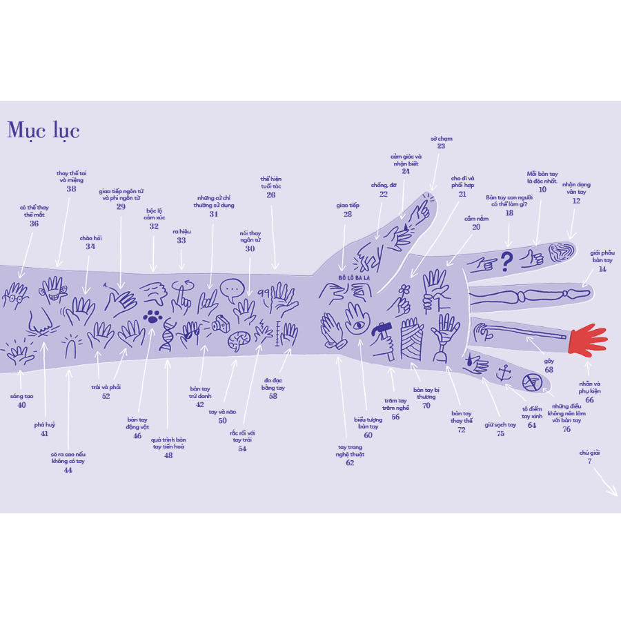 Tỏ Tường Tay Ta | Bách Khoa Toàn Thư Về Đôi Tay | Vítězslav Mecner - Magda Garguláková