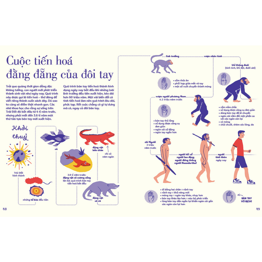 Tỏ Tường Tay Ta | Bách Khoa Toàn Thư Về Đôi Tay | Vítězslav Mecner - Magda Garguláková