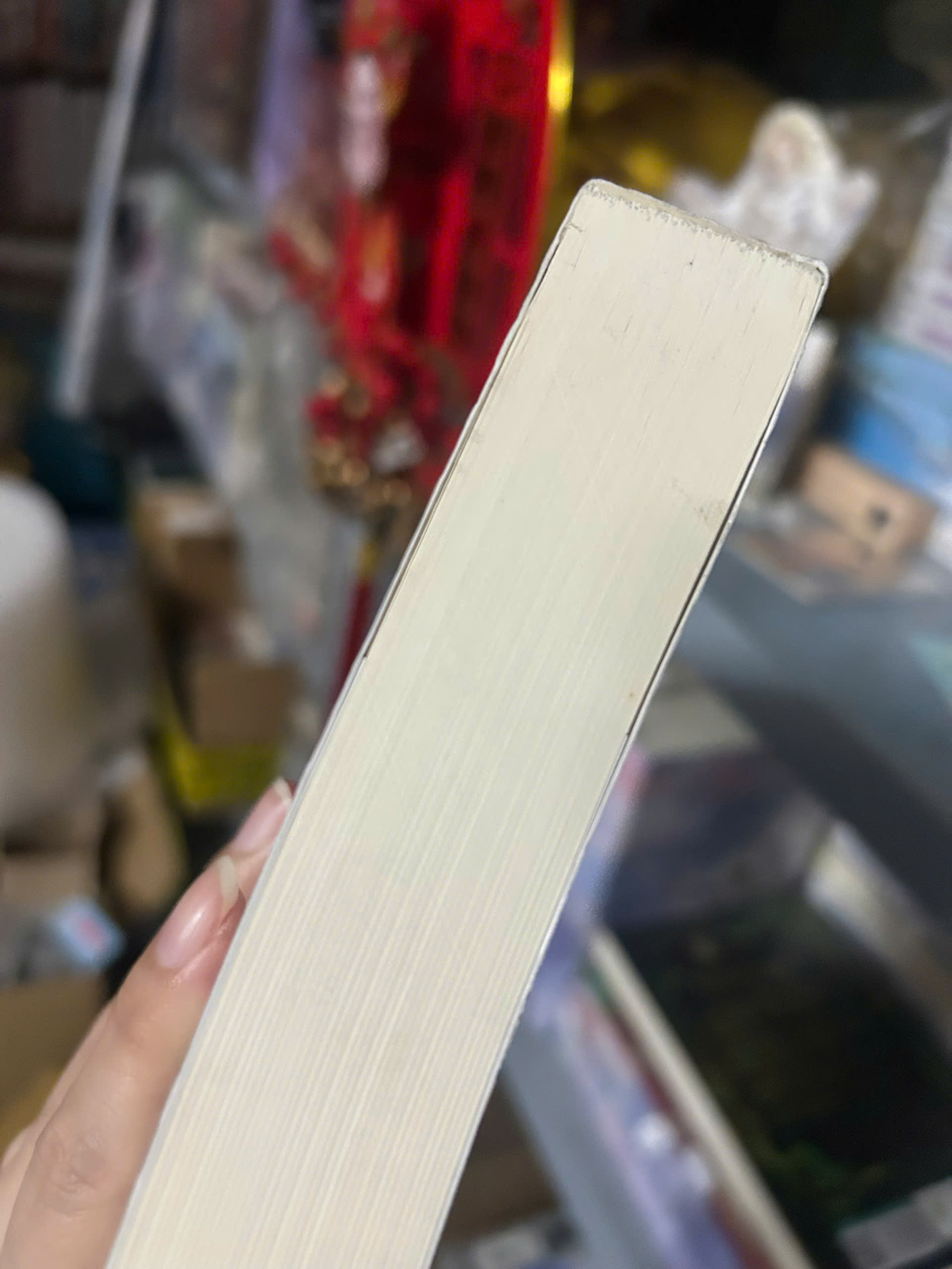 Sách - Bức Thư Bị Lãng Quên (Tái Bản Có Bổ Sung Ngoại Truyện)