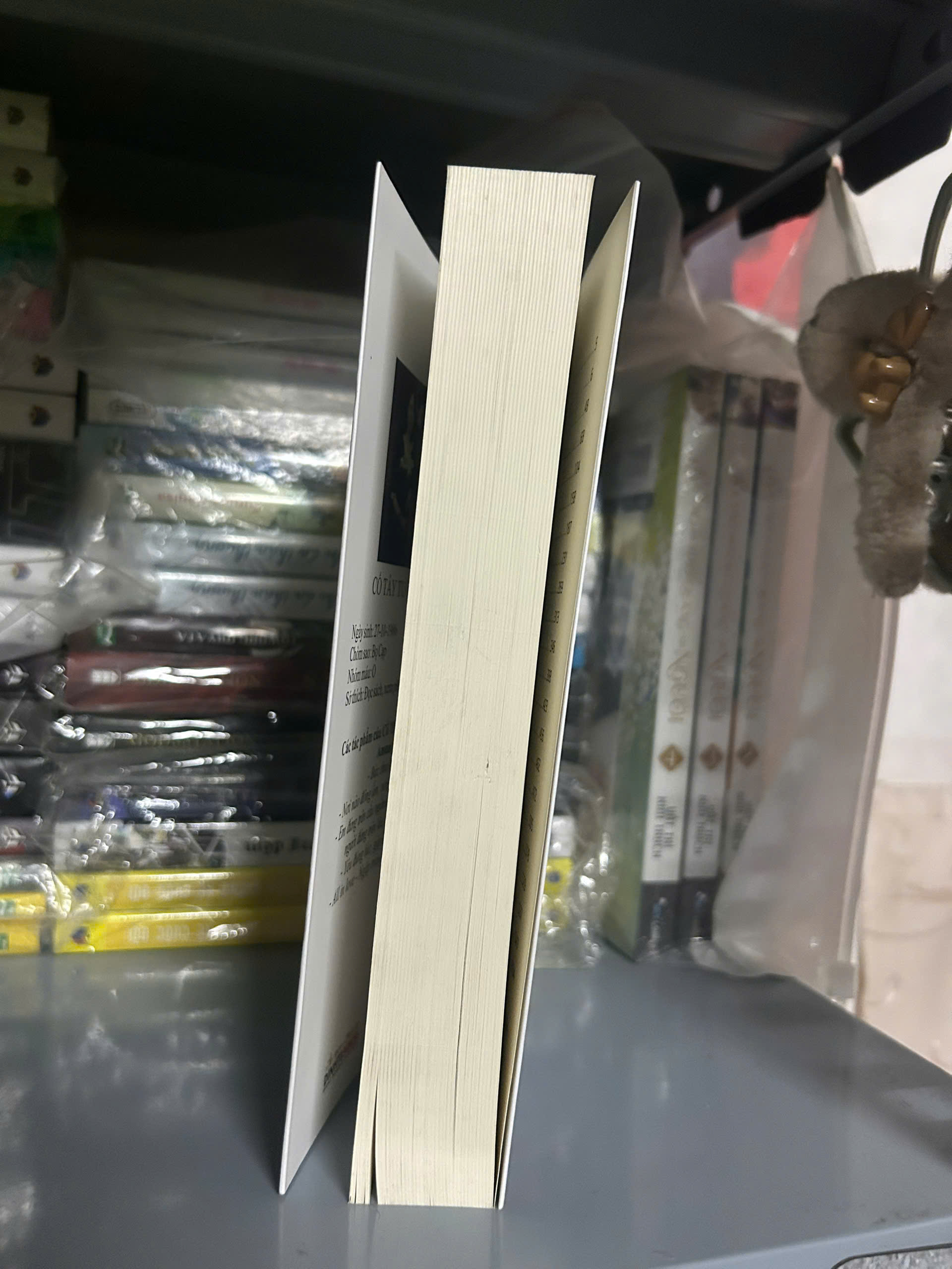 Sách - Bức Thư Bị Lãng Quên (Tái Bản Có Bổ Sung Ngoại Truyện)