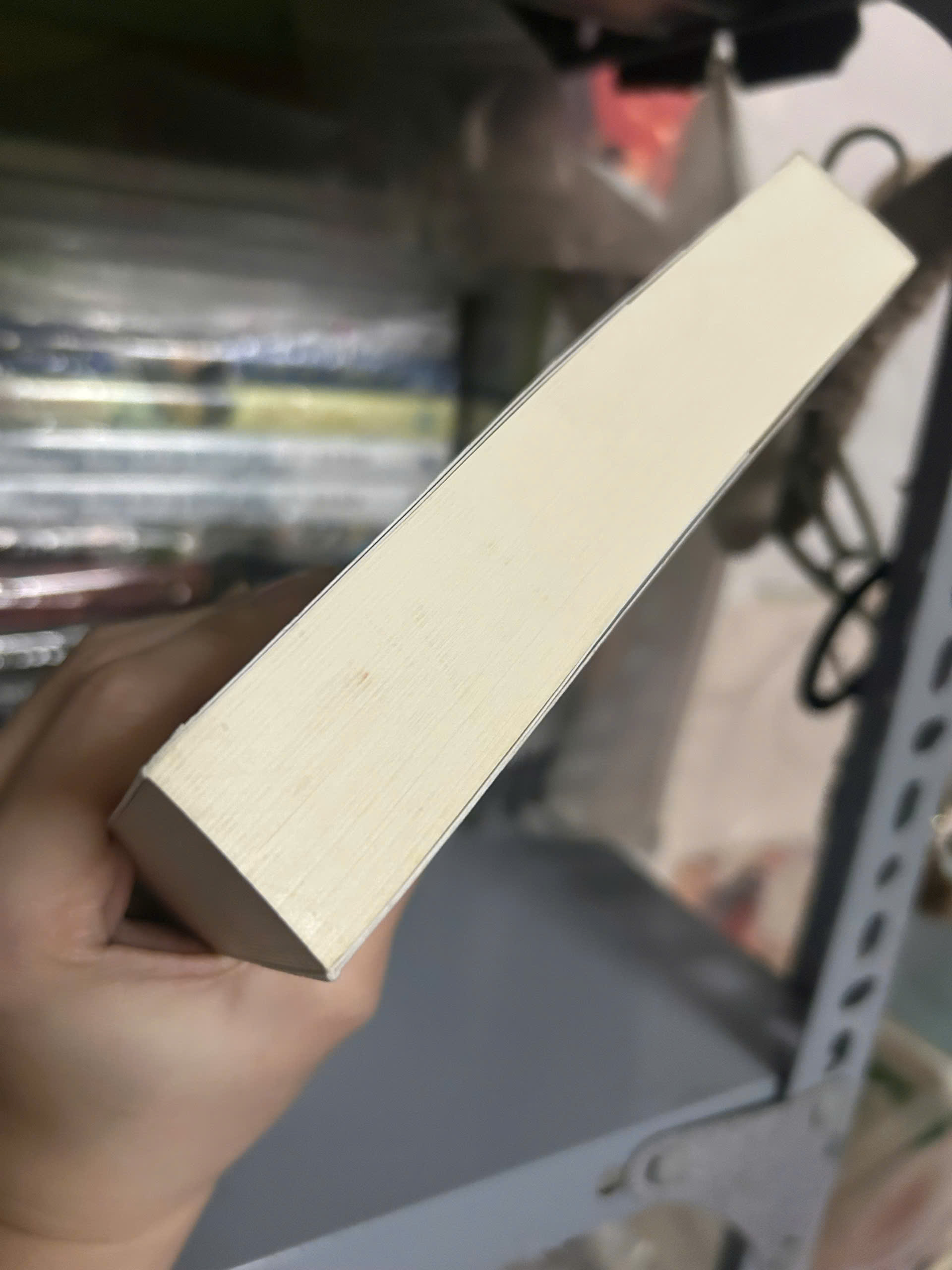 Sách - Bức Thư Bị Lãng Quên (Tái Bản Có Bổ Sung Ngoại Truyện)