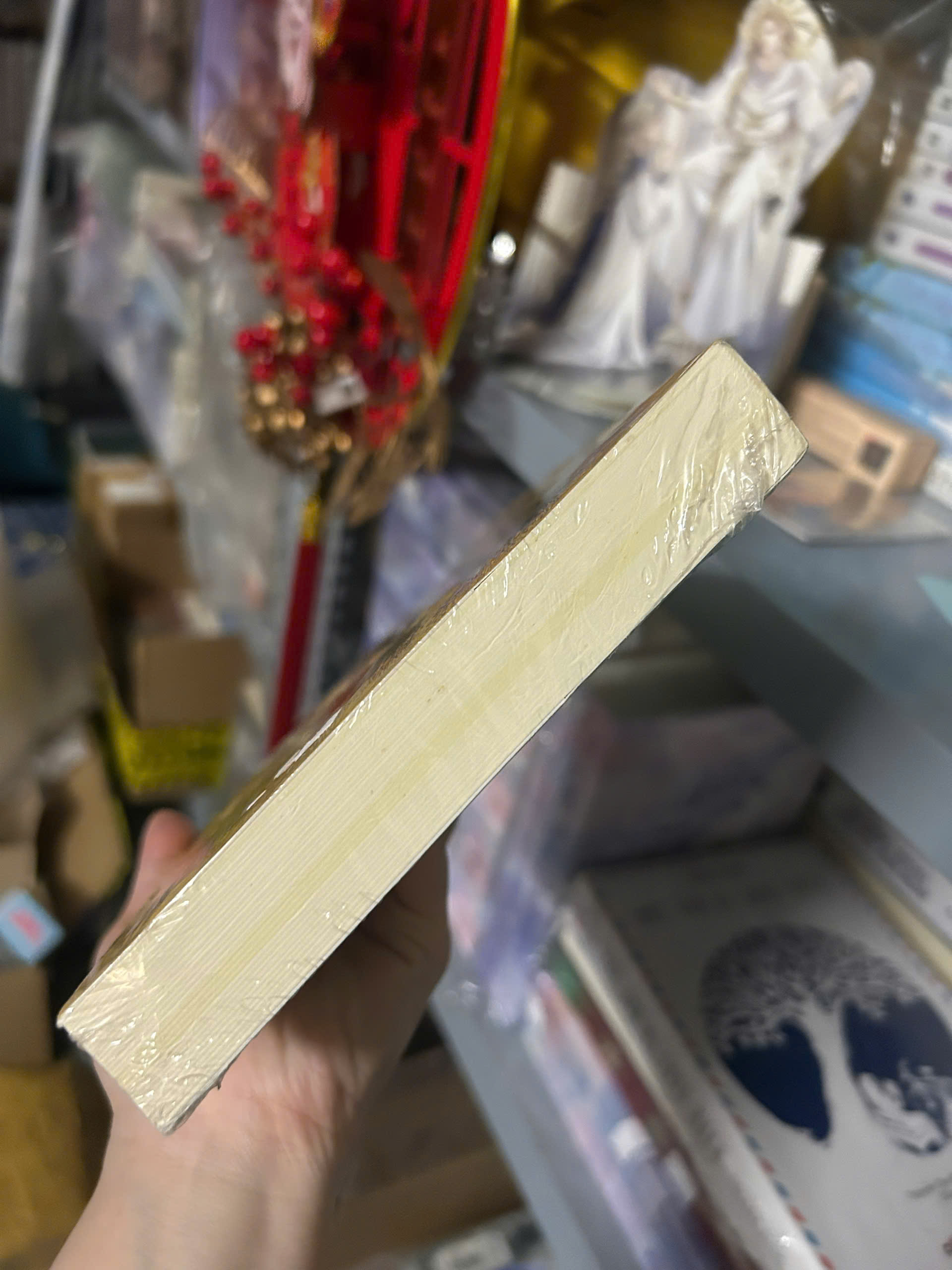 Sách - Kế Hoạch Mai Mối