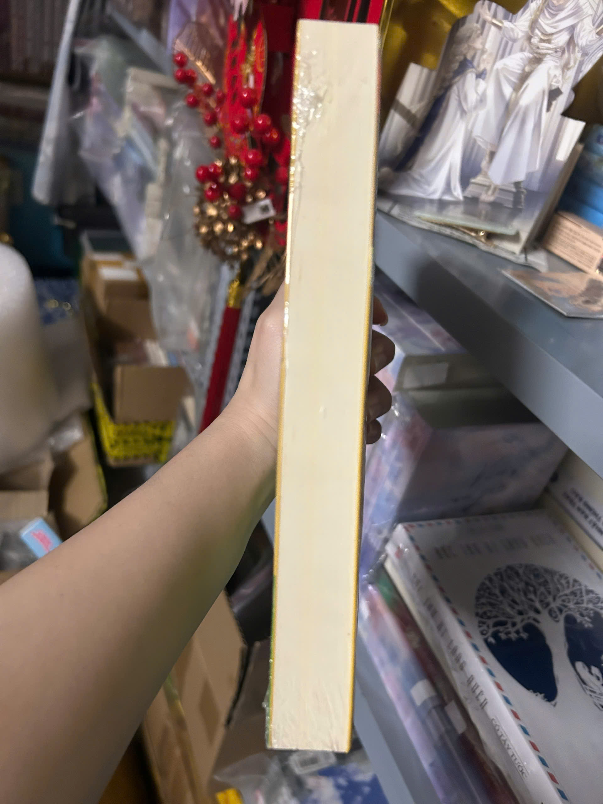 Sách - Kế Hoạch Mai Mối