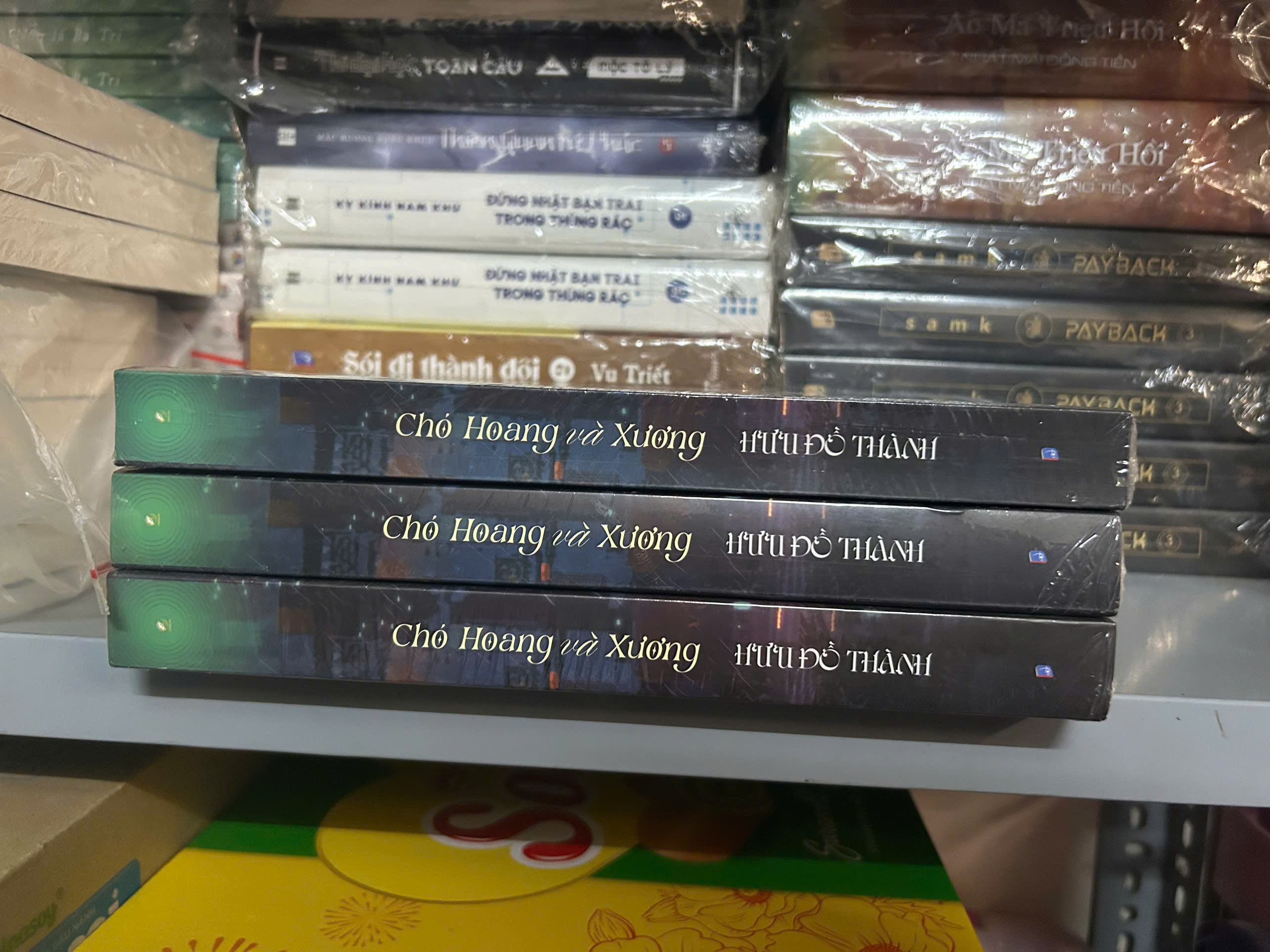 Sách - Chó Hoang Và Xương (Bản thường)