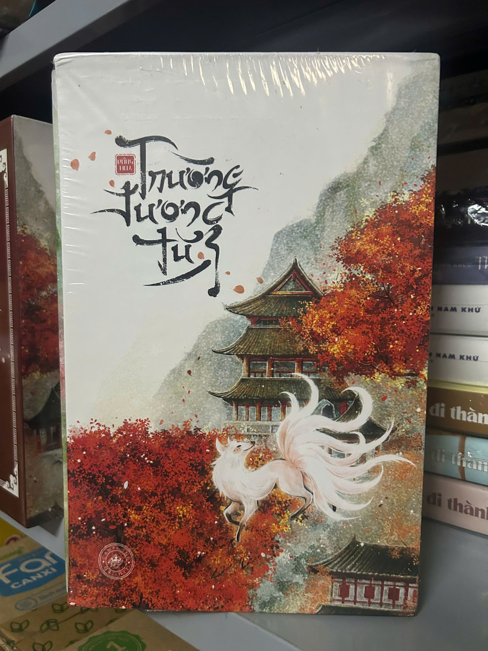 Sách - Boxset Trường Tương Tư - Bộ 3 cuốn (Tái bản 2024)