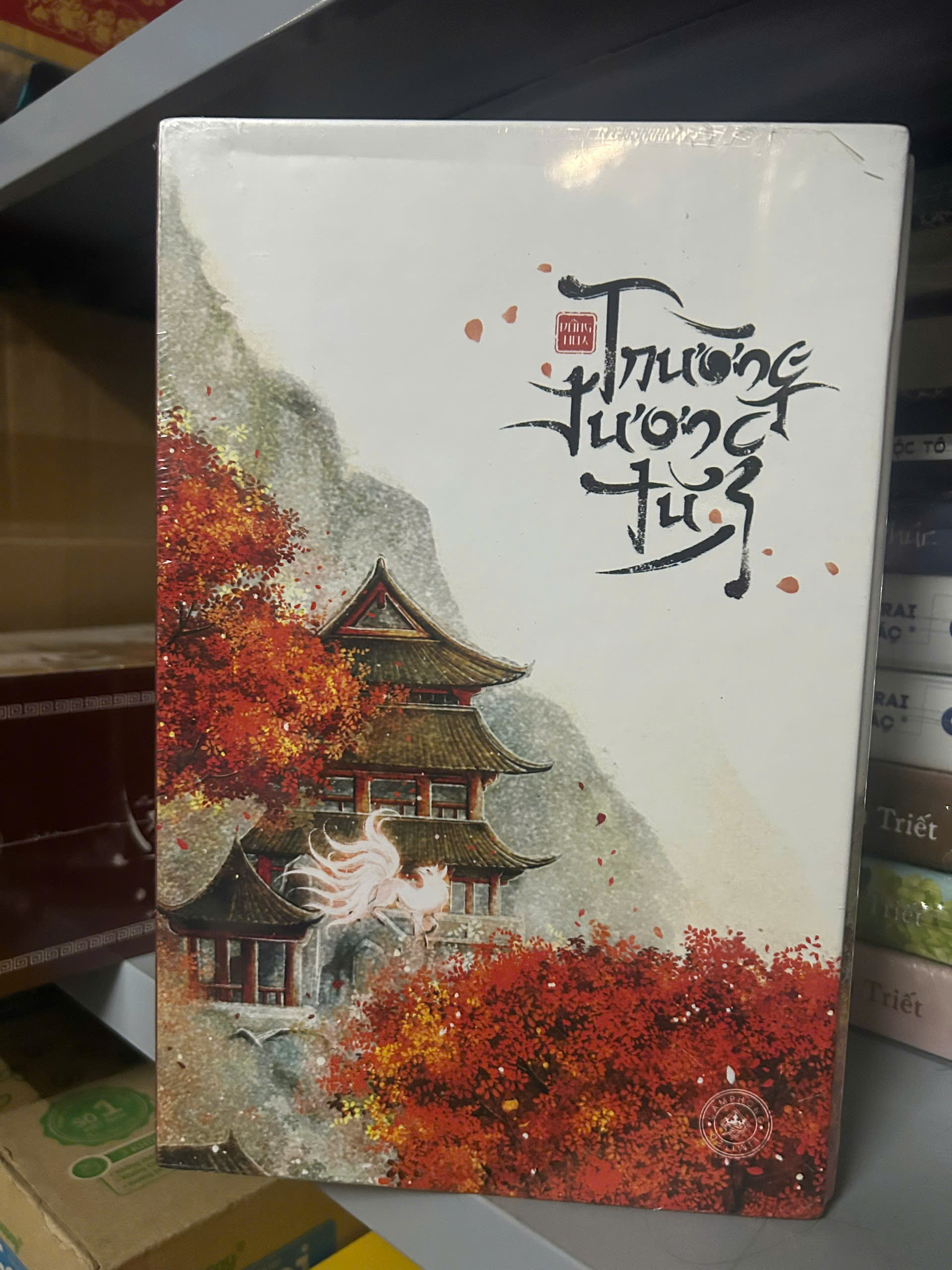 Sách - Boxset Trường Tương Tư - Bộ 3 cuốn (Tái bản 2024)