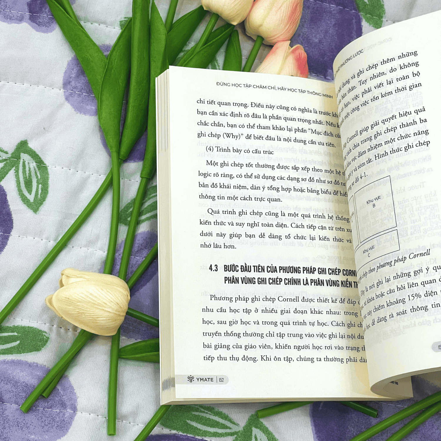 Sách Đừng Học Tập Chăm Chỉ, Hãy Học Tập Thông Minh - YMATE BOOKS