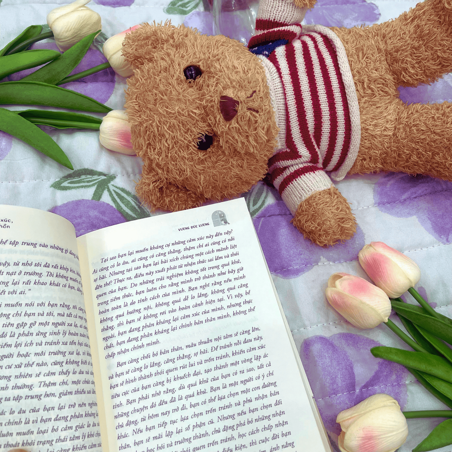 Sách Thấu Hiểu Cảm Xúc, Chữa Lành Tâm Hồn -  YMATE Books