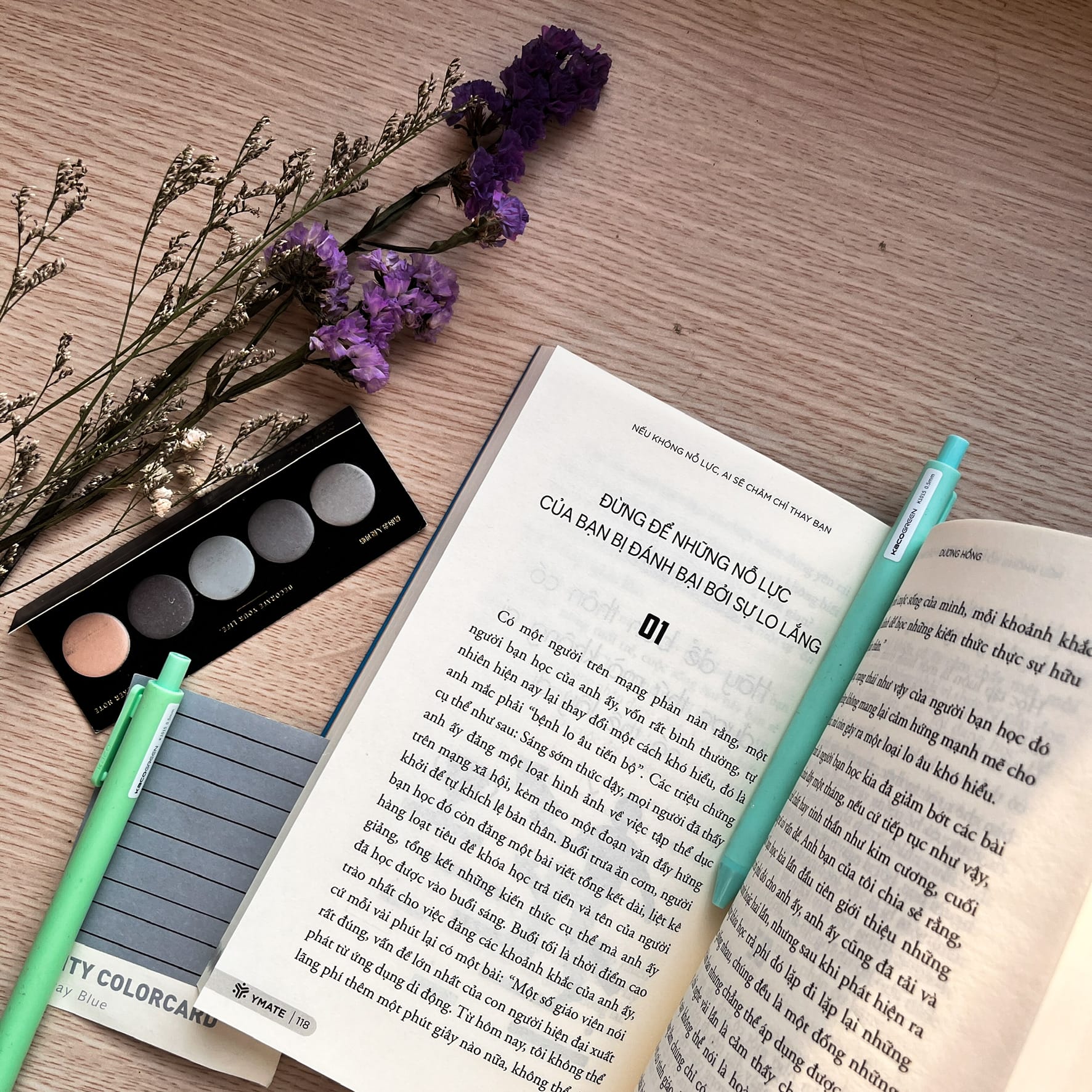 Sách Nếu Không Nỗ Lực Ai Sẽ Chăm Chỉ Thay Bạn- YMATE