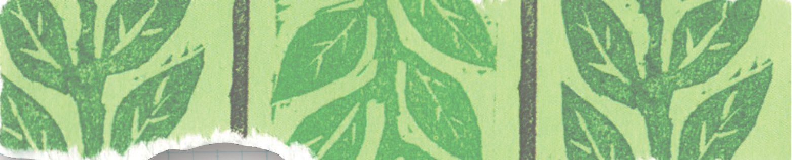11890.png