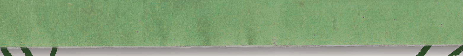 11896.png