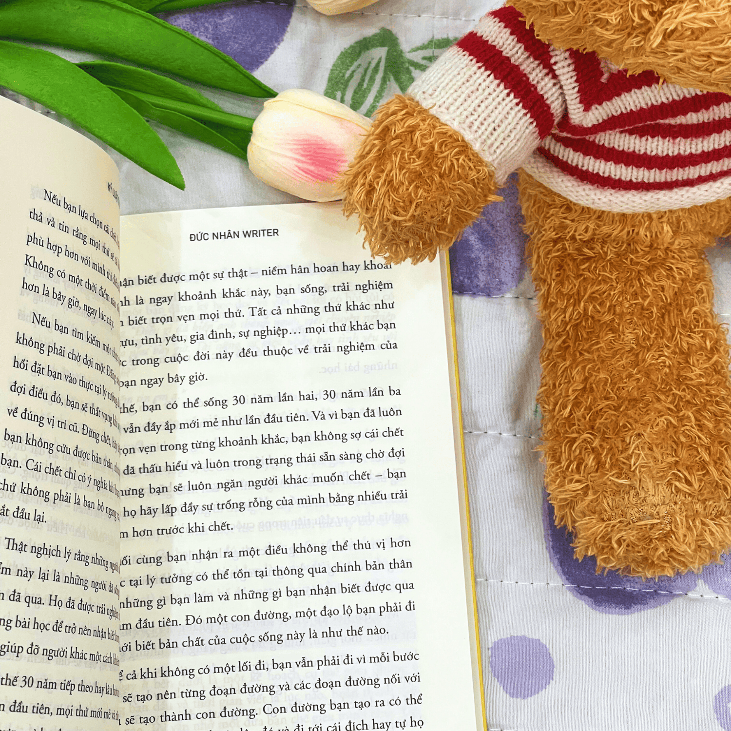 Sách- Kỷ Luật Tự Thân- 10 Bài Học Giúp Bạn Xây Dựng Kỷ Luật Tự Thân Và Đạt Được Mọi Mục Tiêu- Đức Nhân Writer