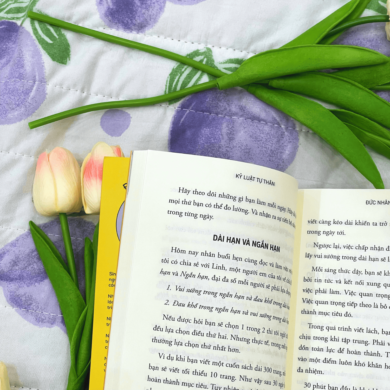 Sách- Kỷ Luật Tự Thân- 10 Bài Học Giúp Bạn Xây Dựng Kỷ Luật Tự Thân Và Đạt Được Mọi Mục Tiêu- Đức Nhân Writer