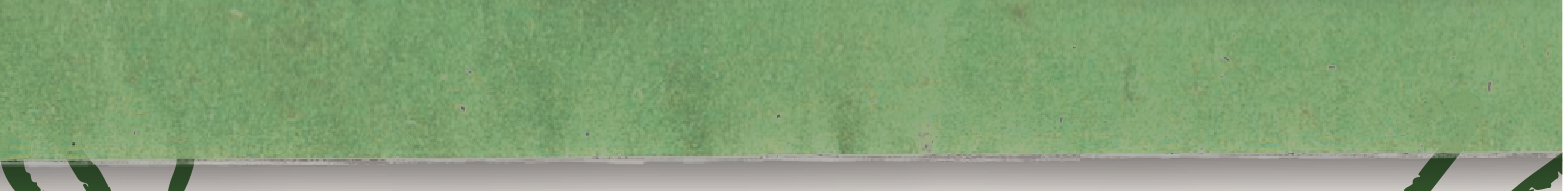 12691.png