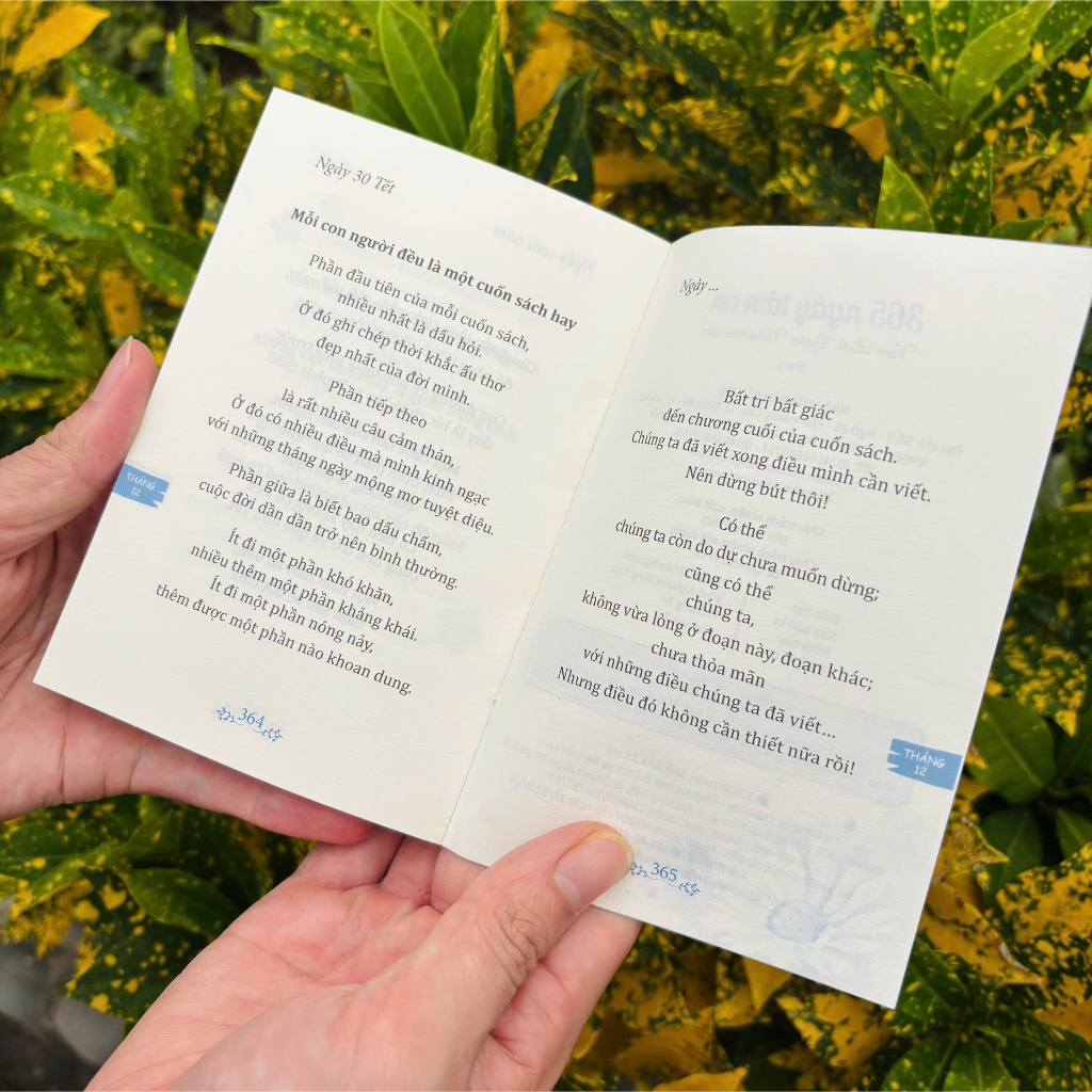 Sách - 365 Ngày Tâm An - Vạn Lợi Quán Như - Vĩnh Nghiêm Books