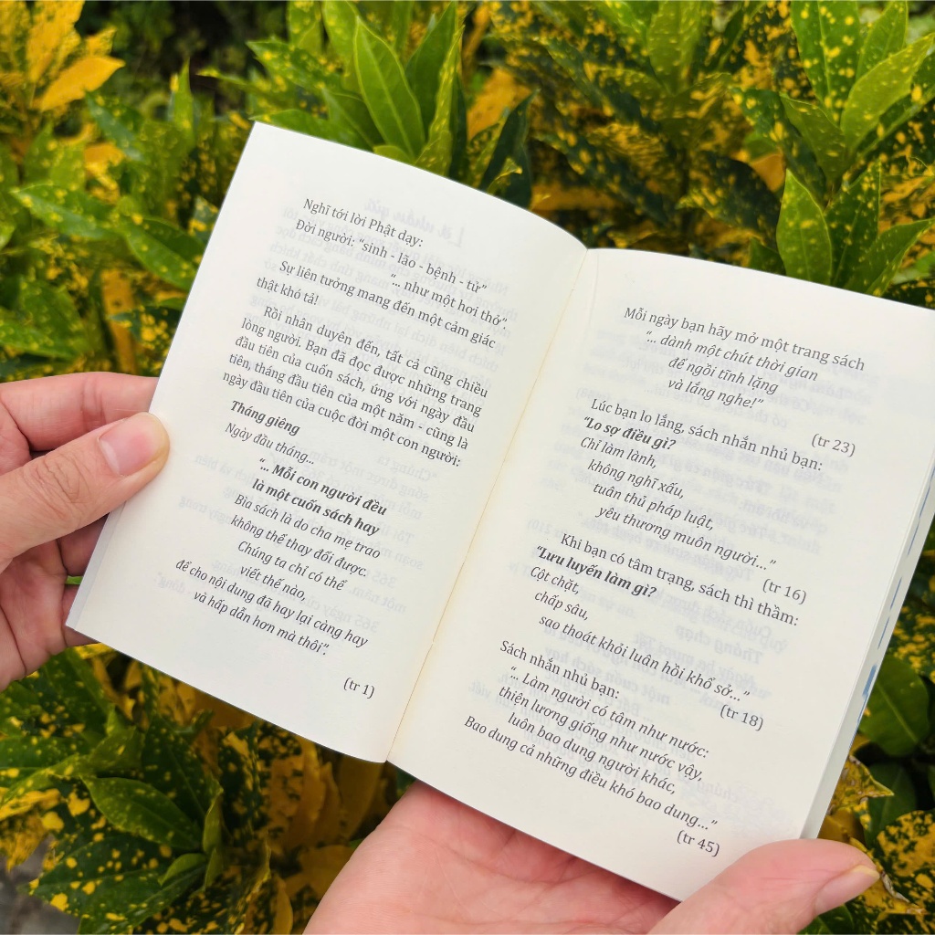Sách - 365 Ngày Tâm An - Vạn Lợi Quán Như - Vĩnh Nghiêm Books
