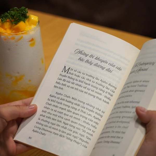 Sách - Tình Yêu Không Suy Tư Con Đường Tu Tập Của Hạnh Phúc - Vĩnh Nghiêm Books