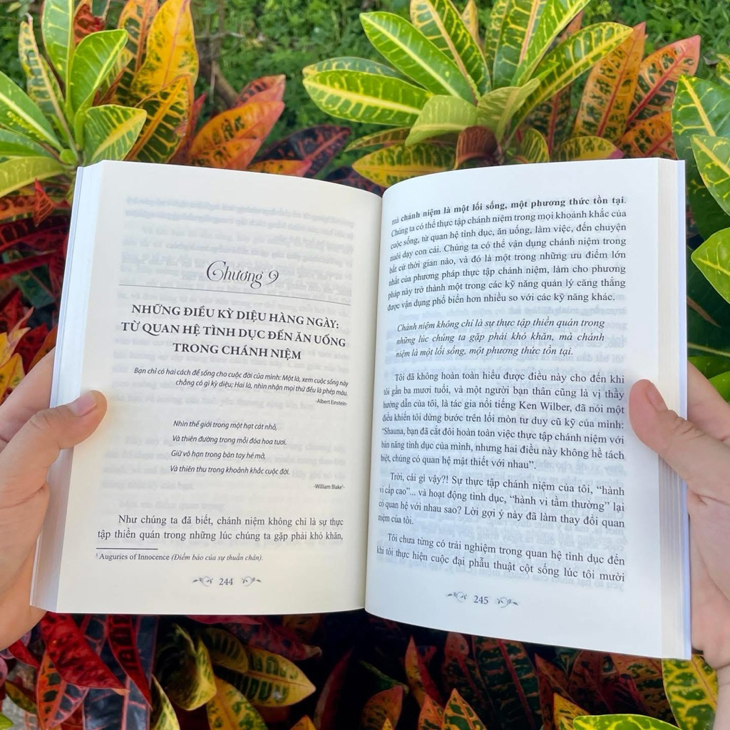 Sách - Chào Ngày Mới Tôi Yêu Bạn - Shauna Shapiro - Vĩnh Nghiêm Books