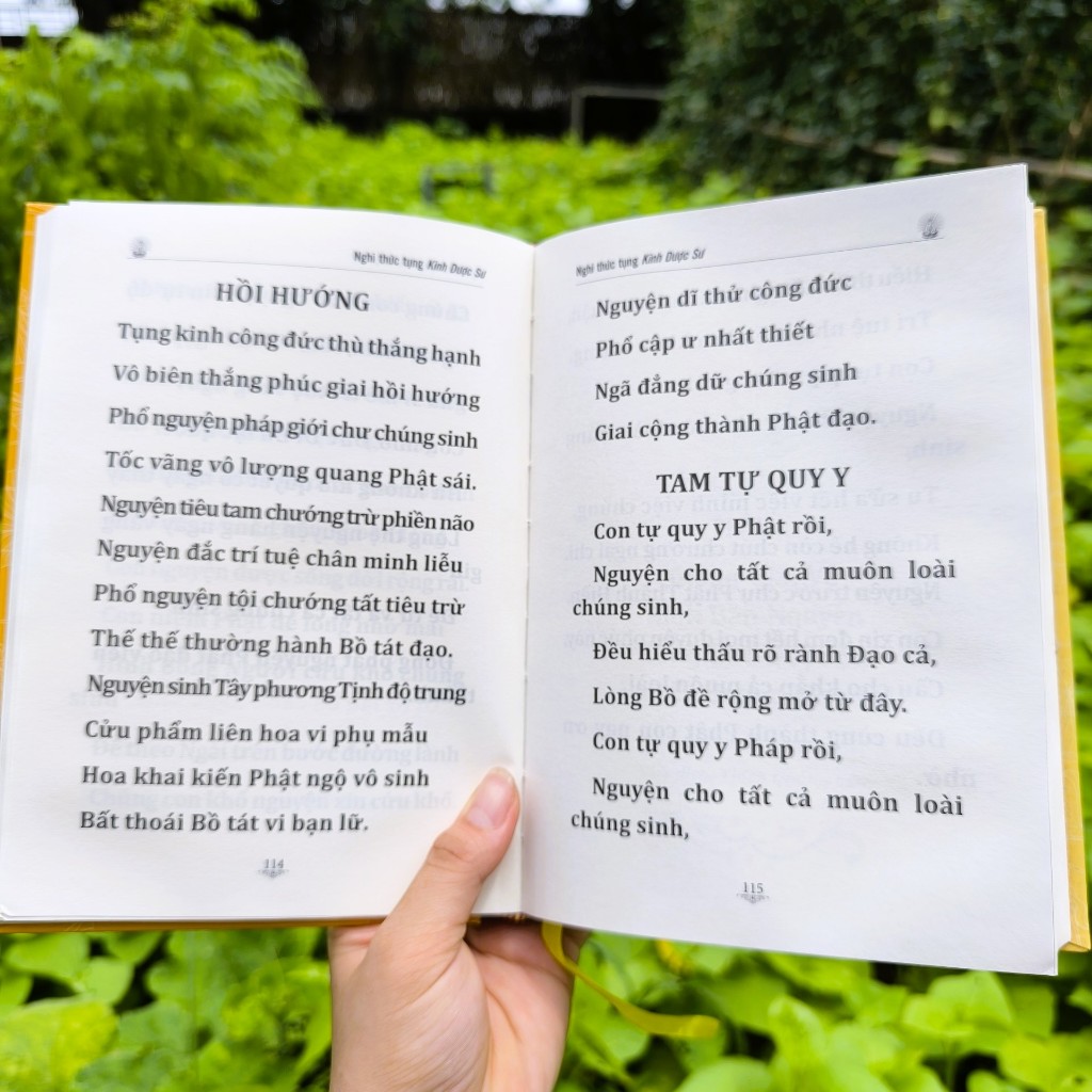 Sách - Kinh Dược Sư Và Giảng Giải Kinh Dược Sư - Đại Sư Ấn Thuận - Vĩnh Nghiêm Bookss