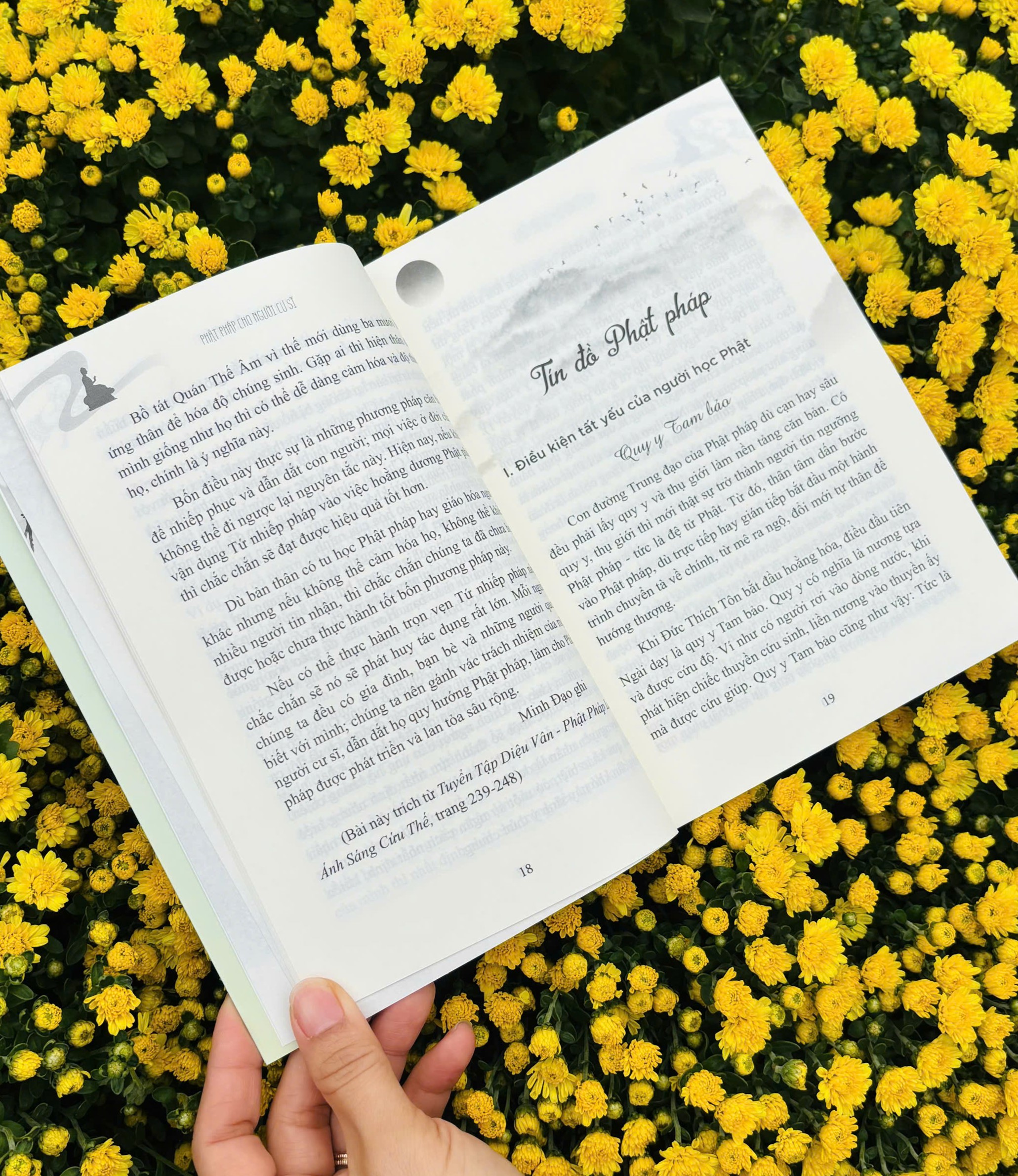 Sách - Phật Pháp Cho Người Cư Sĩ - Vĩnh Nghiêm Books
