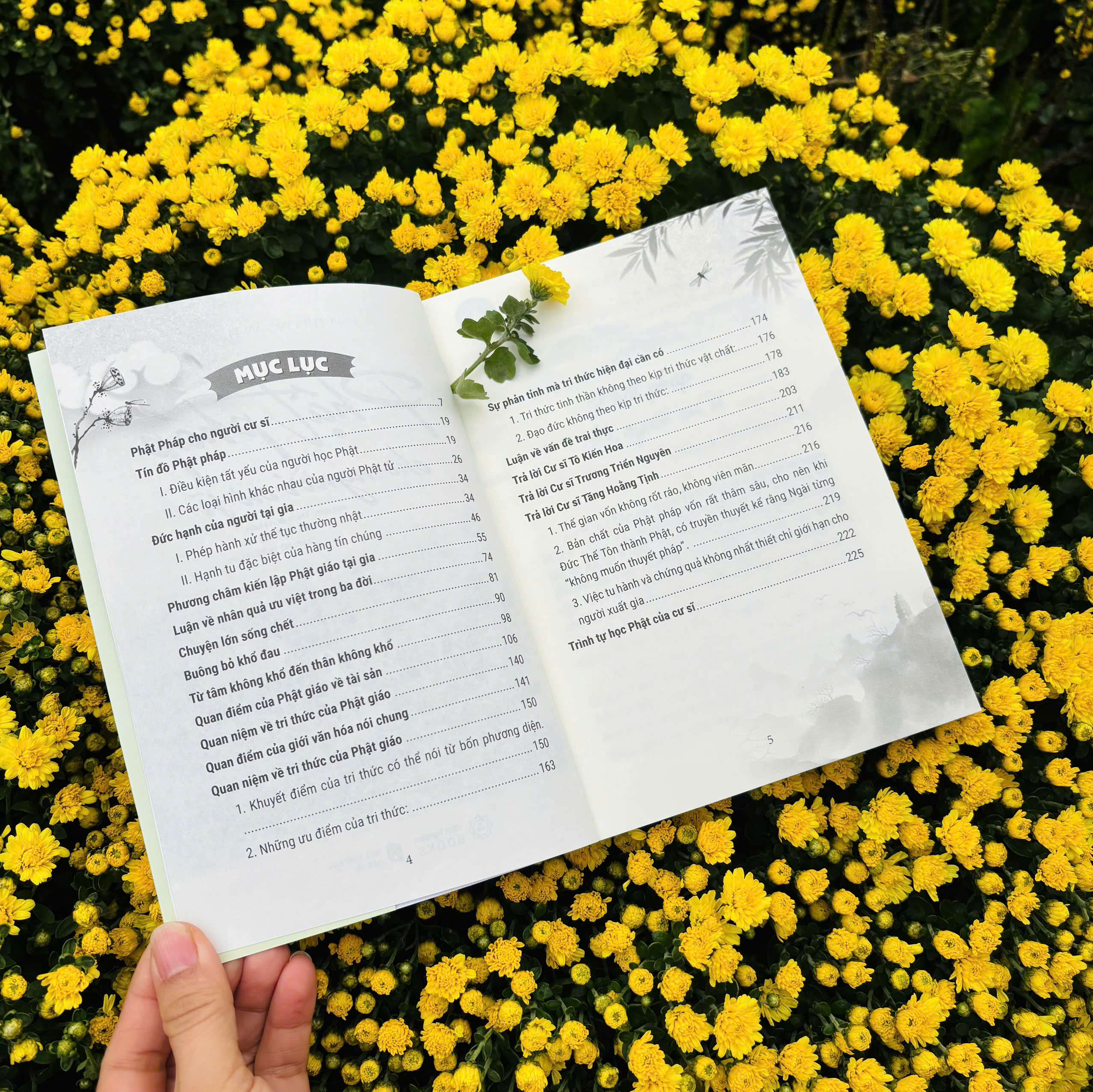 Sách - Phật Pháp Cho Người Cư Sĩ - Vĩnh Nghiêm Books