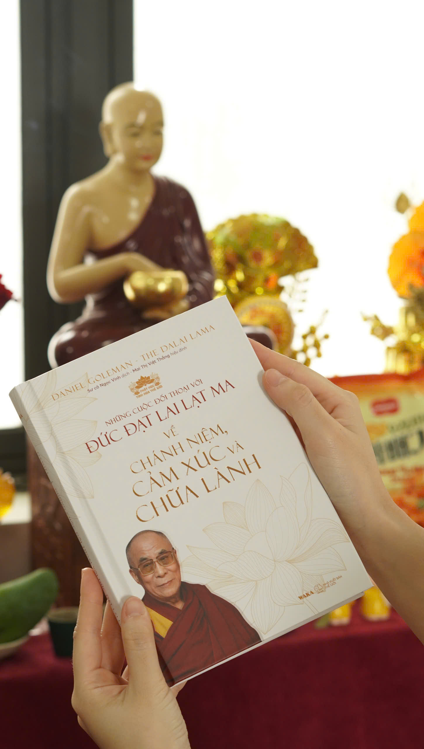 Sách Phật giáo - Những cuộc đối thoại với Đức Đạt Lai Lạt Ma về Chánh niệm, Cảm Xúc và Chữa Lành 