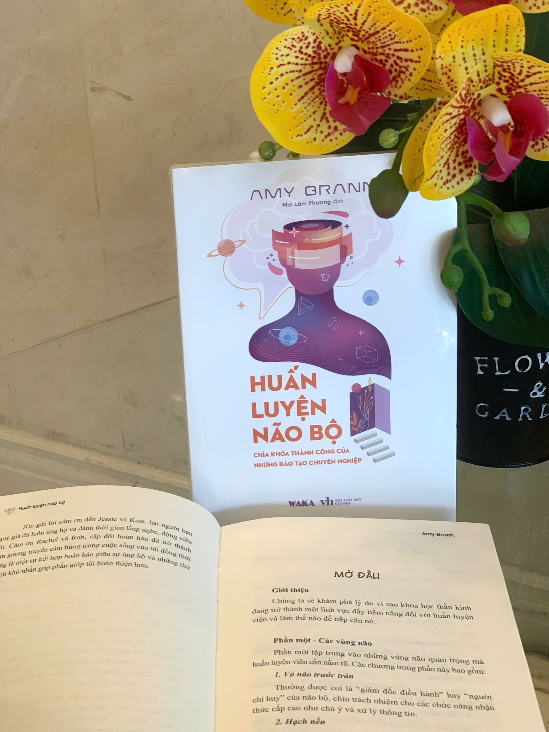 Sách kỹ năng - Huấn luyện não bộ - Chìa khóa của những nhà đào tạo chuyên nghiệp 