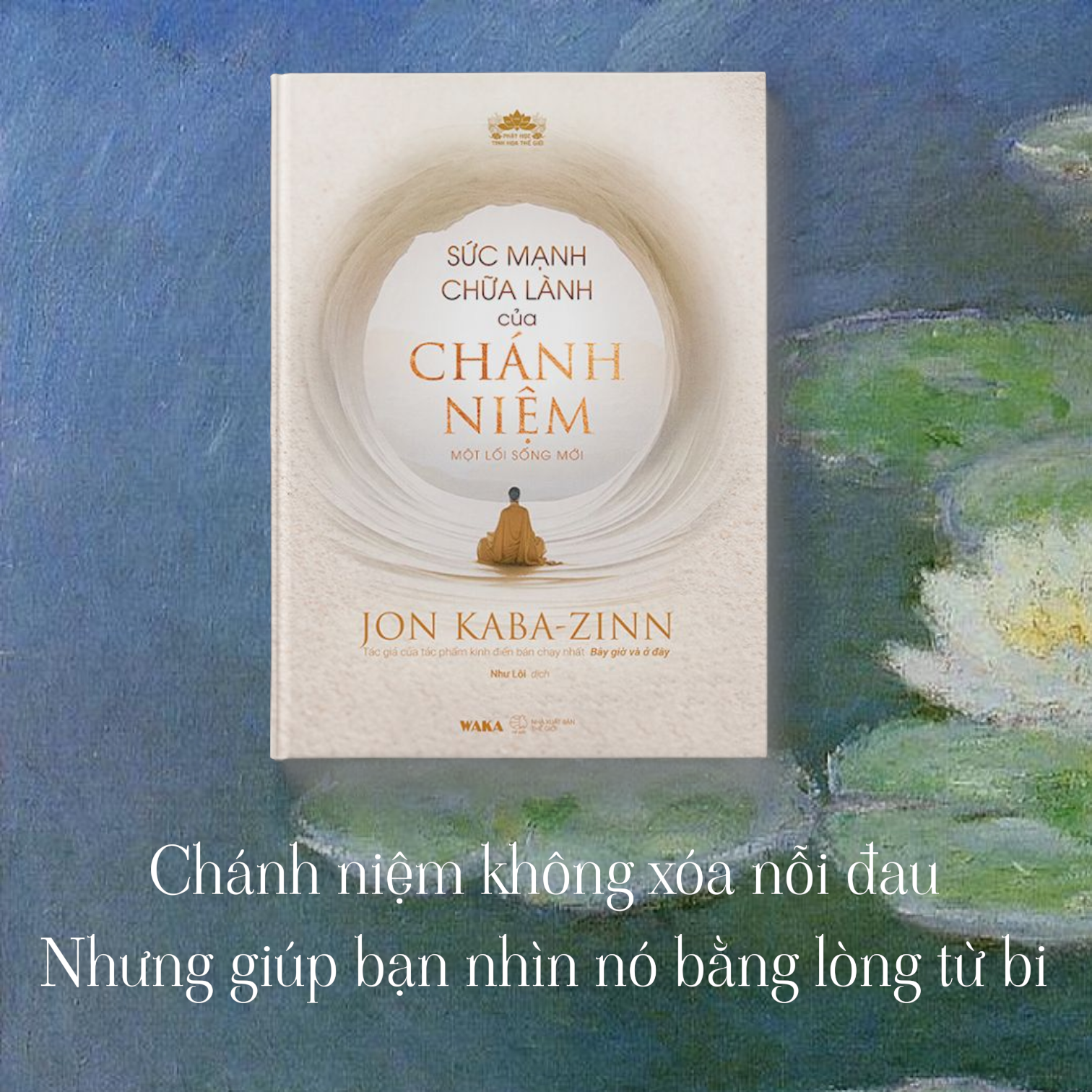 Sách chữa stress và các bệnh lý tâm thần - Sức mạnh chữa lành của chánh niệm (một lối sống mới) 