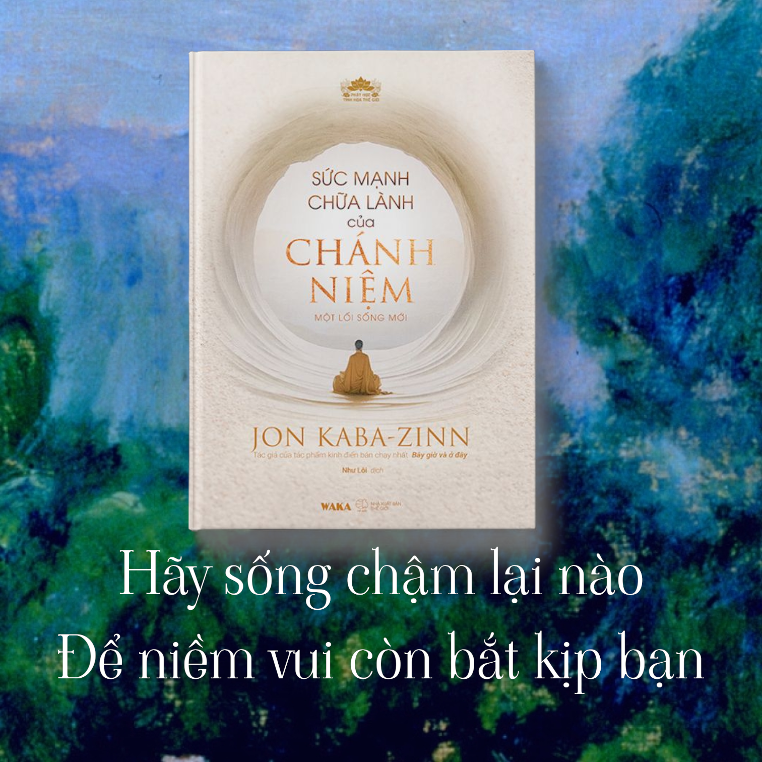 Sách chữa stress và các bệnh lý tâm thần - Sức mạnh chữa lành của chánh niệm (một lối sống mới) 