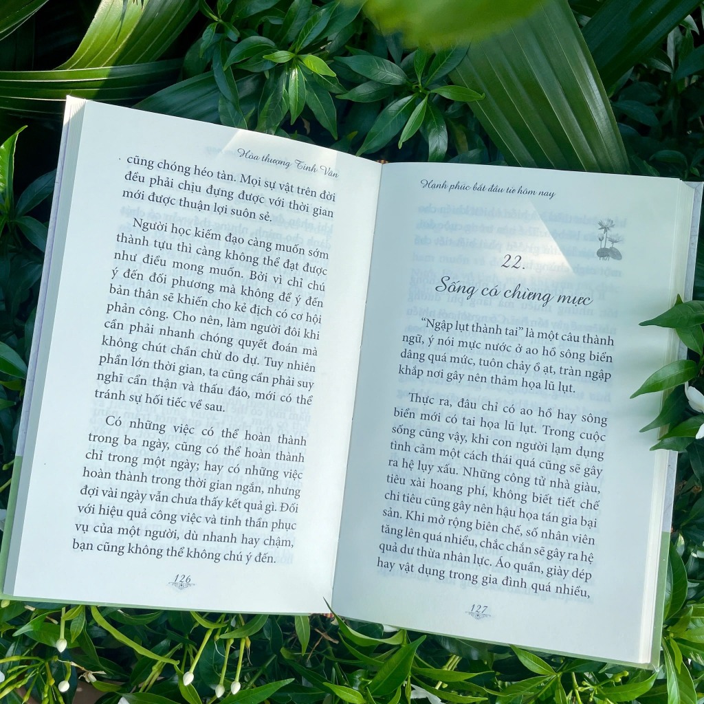 Sách - Hạnh Phúc Bắt Đầu Từ Hôm Nay - Bộ Ranh Giới Giữa Mê Và Ngộ Tập 2 - Vĩnh Nghiêm Books