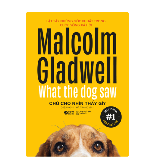 Chú chó nhìn thấy gì